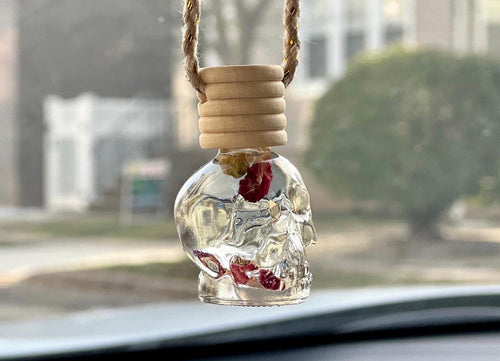 Glass SKULL Car Diffuser
