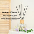 Reed Diffuser: Custom Fragrance Oil, Aromatherapy Room Booster
